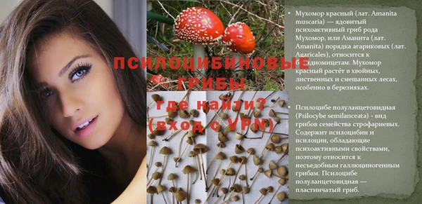 дмт Горнозаводск