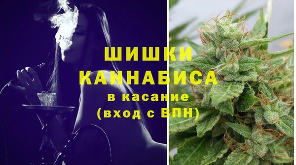 дмт Горнозаводск