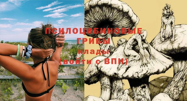 стафф Горно-Алтайск