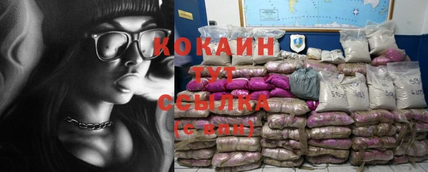 дмт Горнозаводск