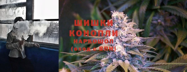 дмт Горнозаводск